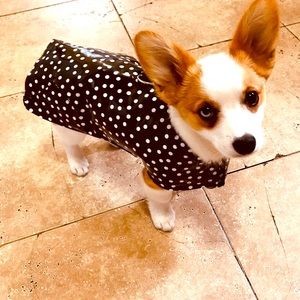 SNUGPUPS Dog Rain Coat